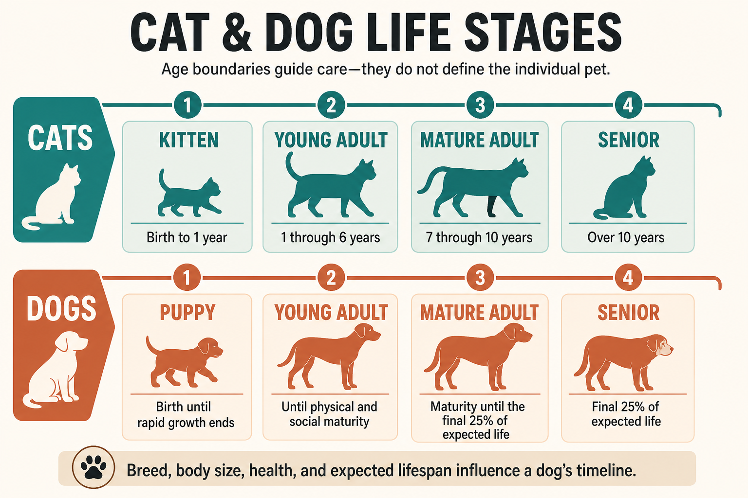 Cat and dog life-stage timelines. Cats: kitten from birth to 1 year, young adult from 1 through 6 years, mature adult from 7 through 10 years, and senior over 10 years. Dogs: puppy until rapid growth ends, young adult until physical and social maturity, mature adult until the final 25 percent of expected life, and senior during the final 25 percent of expected life.
